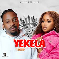 Mvzzle & Shandesh - Yekela (feat. Bayor97)