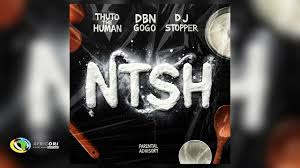 Thuto The Human, DBN Gogo & DJ Stopper - NTSH