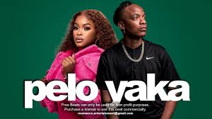 Shandesh – PELO YAKA ft Kaycherlow NLL