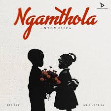 Bee-Bar & Mr Shane SA – Ngamthola feat. NtoMusica
