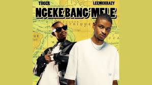 Tiiger & LeeMcKrazy - Ngeke Bang’Mele (feat. QuayR Musiq & King Deep)