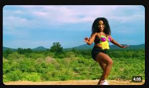 Makhadzi – ni wa wena ft liza james