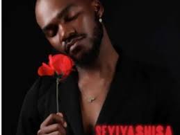 TheologyHD - Seyiyashisa ft EL