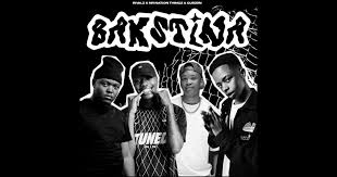 RIVALZ, Mr Nation Thingz & Gubziin - Bak’stina