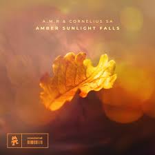 A.M.R & Cornelius SA – Amber Sunlight Falls
