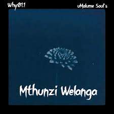 Why01.1 & uMalume Soul’s - Mthunzi Welanga