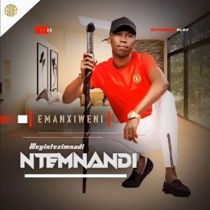Ntemnandi Weyintezimnandi – Bumnandi utshwala