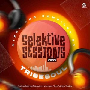 TribeSoul – Selektive Sessions 020 Mix