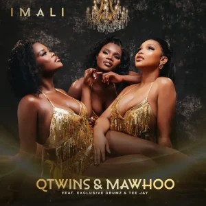 Q Twins – Imali ft Mawhoo, Exclusive Drumz & Tee Jay