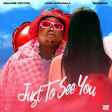 Malome Vector – Just To See You ft Lizwi Wokuqala & Sannere