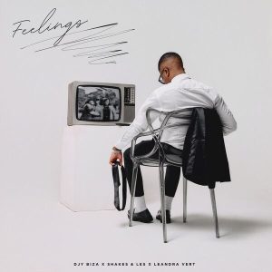 Djy Biza – Feelings ft Shakes, Les & Leandra Vert