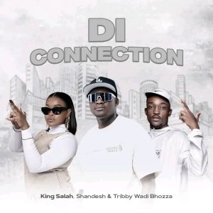 king Salah – DI Connection ft Shandesh & Tribby Wadi Bhozza