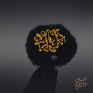 Musa Keys – Nomathemba ft Dominiique