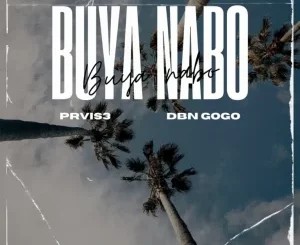 PRVIS3 – Buya Nabo ft DBN Gogo, Triple X D Ghost & Effected