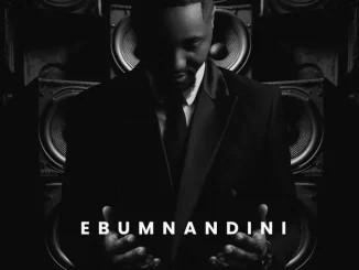 ALBUM: Shaun Stylist – Ebumnandini