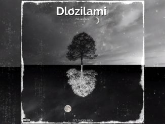 DJSkapter – DLozilami ft JAZZWRLD, Thukuthela, Zee Nxumalo, Babalwa M, Kelvin Momo & Major league djz