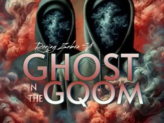 Deejay Zebra SA – Mzansi Nightcrawler ft Mrshisa