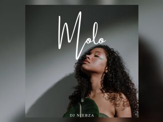 Dj Njebza – Molo ft Kelvin Momo, Dj Maphorisa, Kabza De Small, Thatohatsi & Tracy