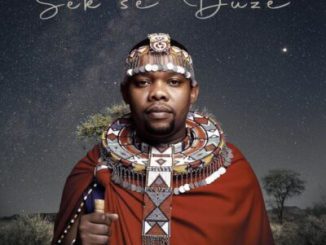 Njelic – Sek’se Duze ft Luu Nineleven & La-Ngwenya