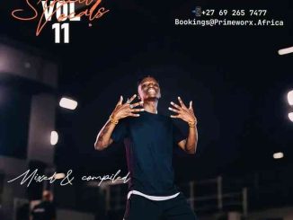 Philharmonic – Philharmonic Strictly Vocals vol. 11 ft Lokzin Keys