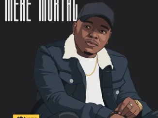 EP: Privacii – Mere Mortal