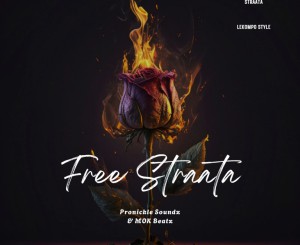 Pronickle Soundz – Free Straata ft Mok Beatz