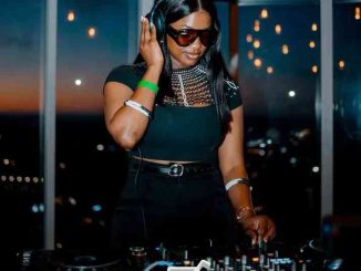 Rosetta D33P – Lost In The Groove