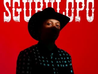 ALBUM: Shaunmusiq – Sgubulopo
