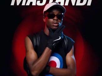 EP: SkavaNator – Mastandi