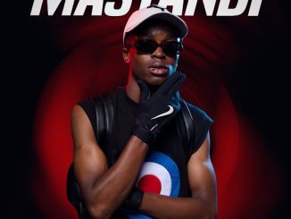 SkavaNator – Too Much ft Thatohatsi, DQ Official, Blaq Note, Vesta SA & NaCo