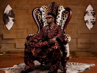 Sun-EL Musician – Imali ft Ami Faku & Tefo Foxx