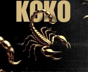 TNK MusiQ – Koko ft TXV MusiQ & Cori.012