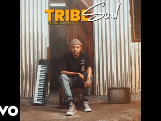 Tribesoul – Woza Cartel ft LowBass Djy & HouseXcape