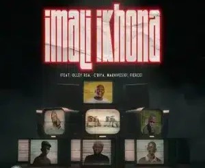 Tulz Madala – Imali Ikhona ft DJ Kafi, Springle, Olley RSA, C’biya, Makhives101 & Fierce