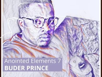 ALBUM: VA – Anointed Elements 7 (Compiled by Buder Prince)