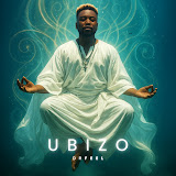 ALBUM: Dr Feel – Ubizo