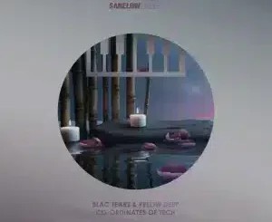 Blac Tears – Co-Ordinates of Tech (Undulative Tek Work) ft Pelow Deep