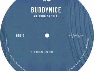 Buddynice – Nothing Special