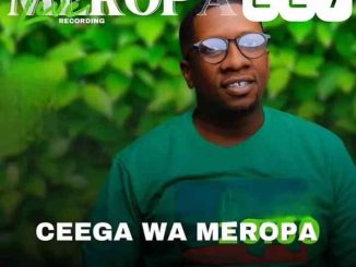 Ceega – Meropa 227 (We Love Mzansi House)