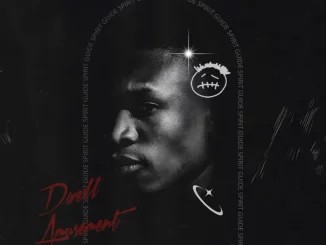 ALBUM: Dwell Amusement – Spirit Guide