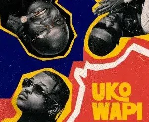 Harmonize – Uko Wapi ft Focalistic & Chicco