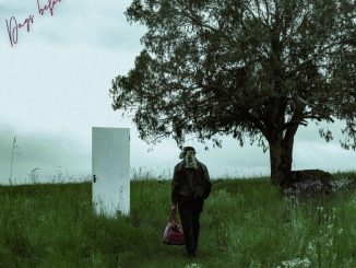 Lowfeye – Msholozi