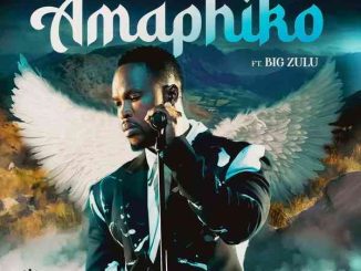Siya Ntuli – Amaphiko ft Big Zulu