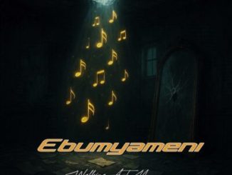 WalkingATM – Izinyembezi Zami