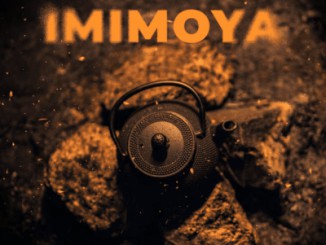 Baby Momo – Imimoya ft SmileyKeys & Sims Makoya