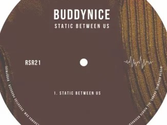 Buddynice – Static Between Us