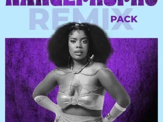 Cnethemba Gonelo – Nangephupho (Azzura Remix) ft Soa Mattrix, Frank Mabeat & B33kay SA