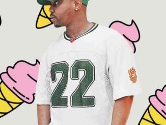 Felo Le Tee – Inkinga (3310TTZMP) ft Leehleza & TNK MusiQ