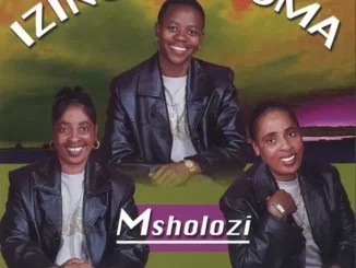ALBUM: Izingane Zoma – Msholozi
