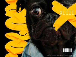 LebtoniQ – POLOPO 43 Mix